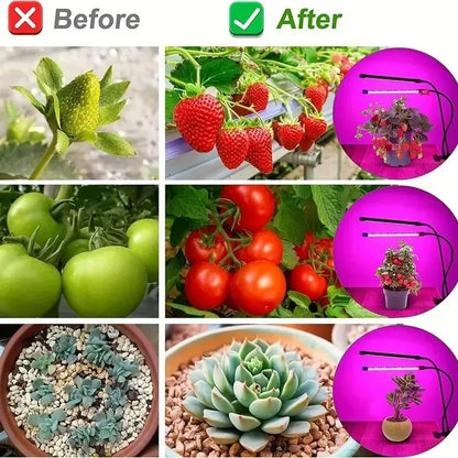 Lampe de croissance LED pour plantes, 10 niveaux de luminosité réglable, spectre complet, minuterie 3H/9H/12H, pour jardin intérieur et légumes