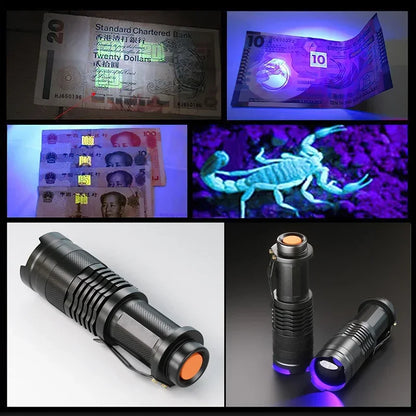 UV LED Flashlight 395nm | Portable Blacklight Detector for Pet Urine, Scorpions & More