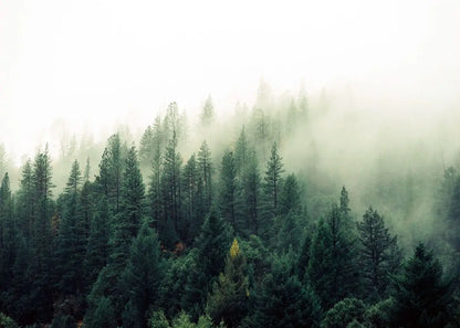 Nature Landscape Green Forest Mountain Lake Boat Poster Print Canvas Painting Wall Art Pictures Modern Living Room Home Decor