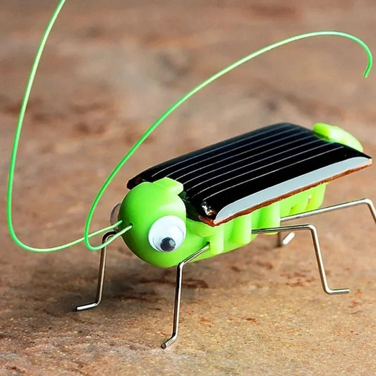Solar Powered Grasshopper Toy | STEM Science Education Wooden Puzzle Kit