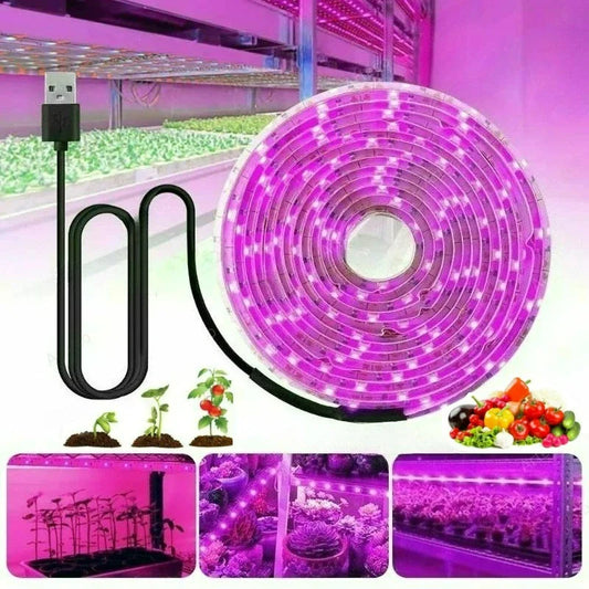 Luz de crecimiento LED espectro completo 5V USB Tira de luz de crecimiento 1m-5m Chip 2835 LED Lámpara de fitocultivo para plantas flores invernadero hidropónico