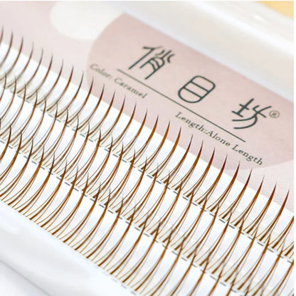 Brown Lashes A Type False Eyelashes 8-12mm | Natural Fairy Lash Clusters for Korean Makeup