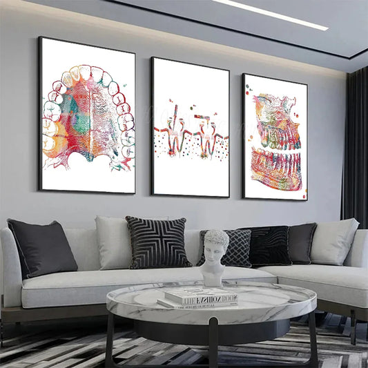 Anatomy Human Teeth Art Posters Teeth Row Teeth Illustra Poster HD Posters Home Room Bar Cafe Decor Art Wall Painting Picture