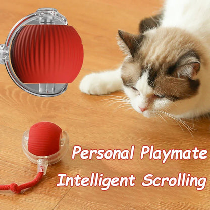 Smart Interactive Cat Ball | Automatic Rolling Toy with Motion Sensors
