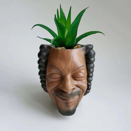 Una maceta facial, una maceta de jardín, una maceta facial de resina, una maceta para suculentas, una maceta única