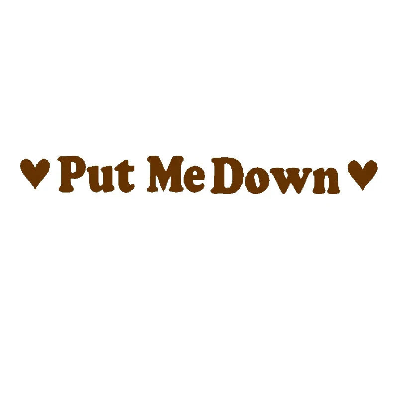 PUT ME DOWN Toilet Seat Reminder Sign | Funny Vinyl Bathroom Decal