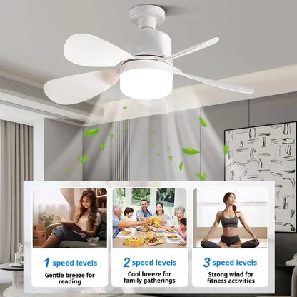 Ceiling Fan Light | Flush Mount Ceiling Fan with Remote Control & Dimmable Brightness | Versatile Lighting for Comfort