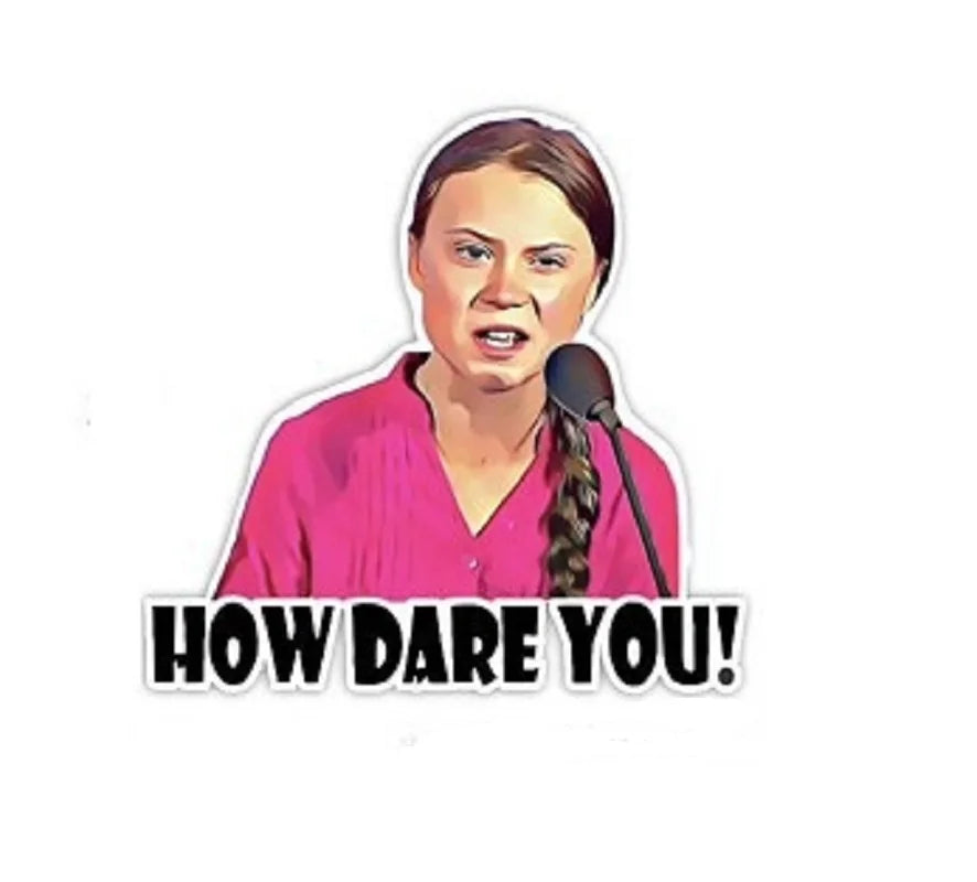 How Dare You Car Sticker | Waterproof Vinyl Decal for Laptop, Car & Wall