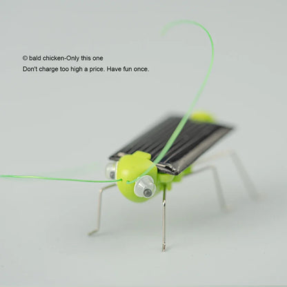 Solar Powered Grasshopper Toy | STEM Science Education Wooden Puzzle Kit
