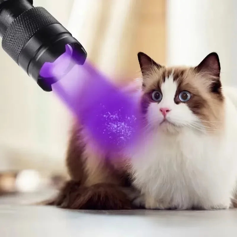 UV LED Flashlight Portable Blacklight | 365/395nm Wavelength for Pet Urine, Scorpion Detection & Hygiene