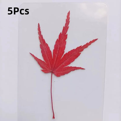 15Pcs Lucky Simulation Four-Leaf Clover Postcards Shamrock Stems Transparent Wishing Cards Ideal for Bookmarks & Decorations