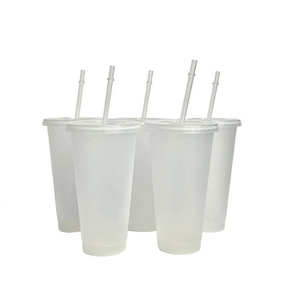 710ml Color Changing Straw Mug | Insulated Reusable Plastic Cup with Lid