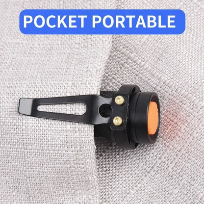 Portable UV Flashlight 365-395nm | Black Light Ultraviolet Torch for Pet Urine Detection