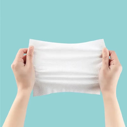 Disposable Face Towels 100 PCS | Soft Dry Makeup Remover Wipes for Car & Skincare