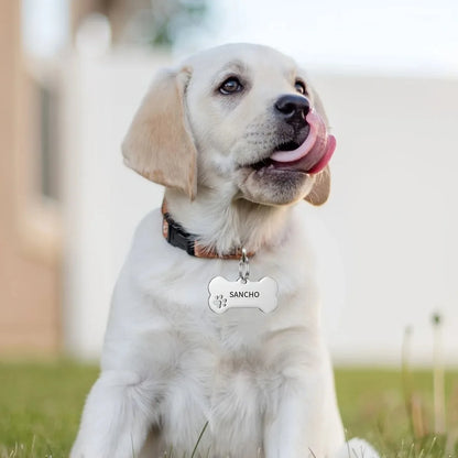 Personalized Dog Cat ID Tag | Custom Engraved Bone Shaped Pet Pendant
