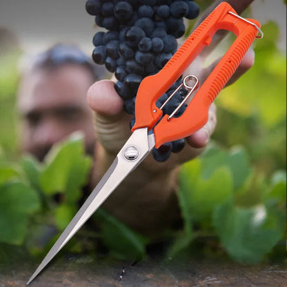 Grape Scissors Pruning Shears | Professional Stainless Steel Garden Tool