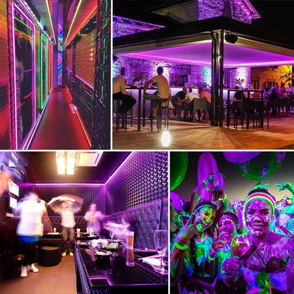 UV LED Light Strip 395-405nm | Flexible Black Light for Glow Party
