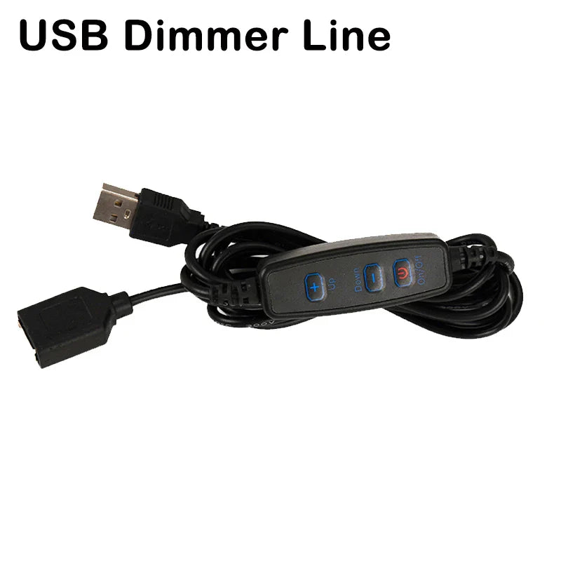 Mini USB LED Desk Lamp | 8 Color Night Light with Eye Protection