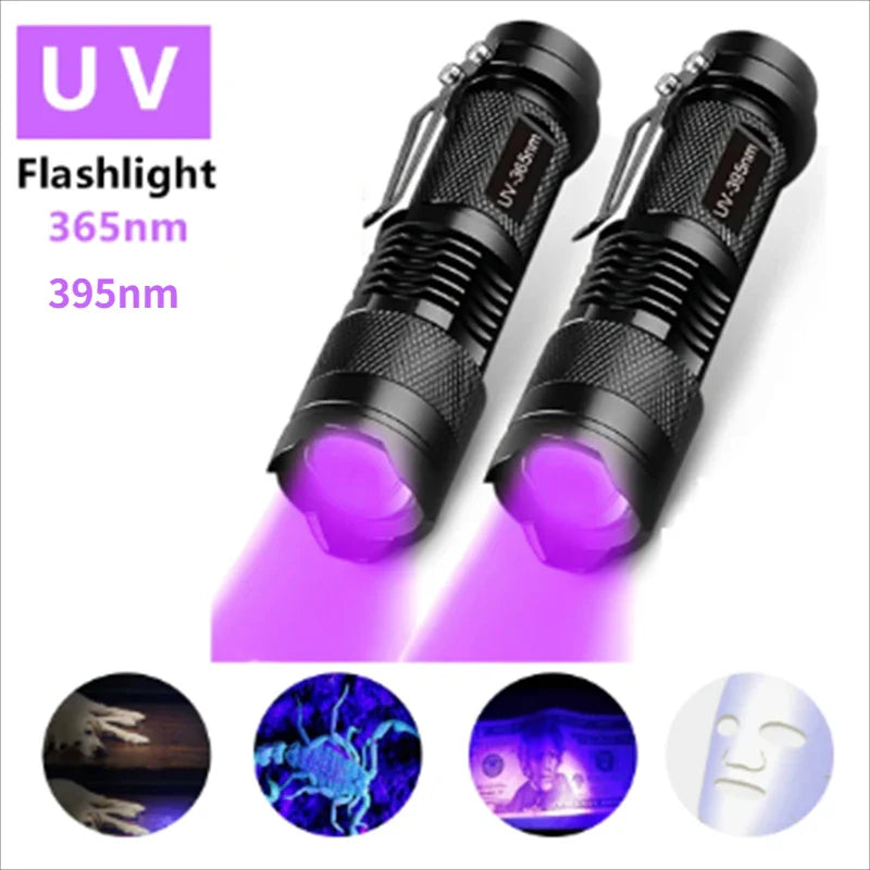 Portable UV Flashlight 365-395nm | Black Light Ultraviolet Torch for Pet Urine Detection