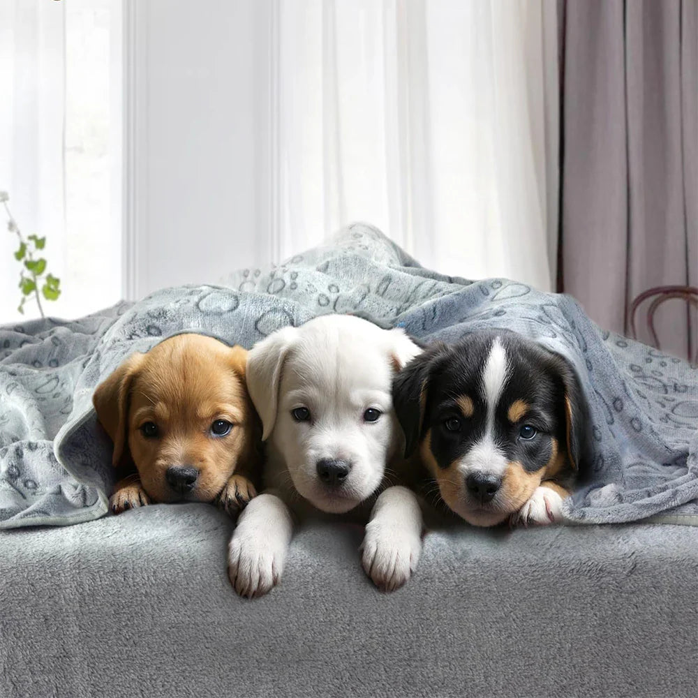 Ultra-Soft Paw Print Dog Blanket | Cozy Machine Washable Pet Bed Pad