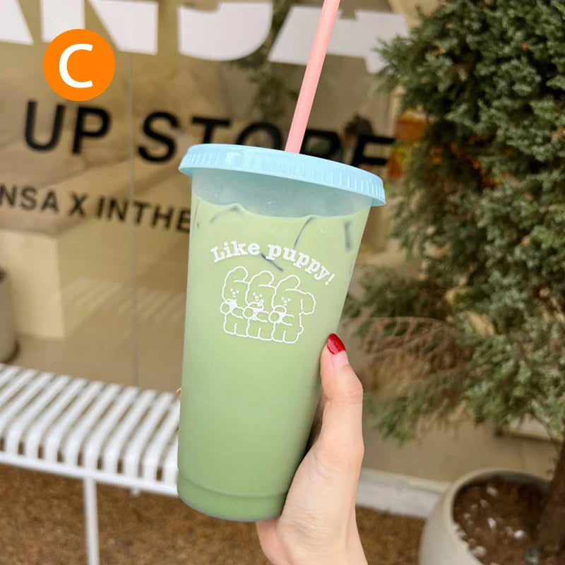 Cute Reusable Plastic Water Bottle with Straw | Portable Cold Cup for Coffee, Juice, & Milk Tea