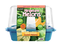 Mini Melons Sprouter Terrarium