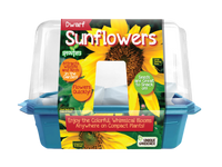 Dwarf Sunflowers Sprouter Terrarium