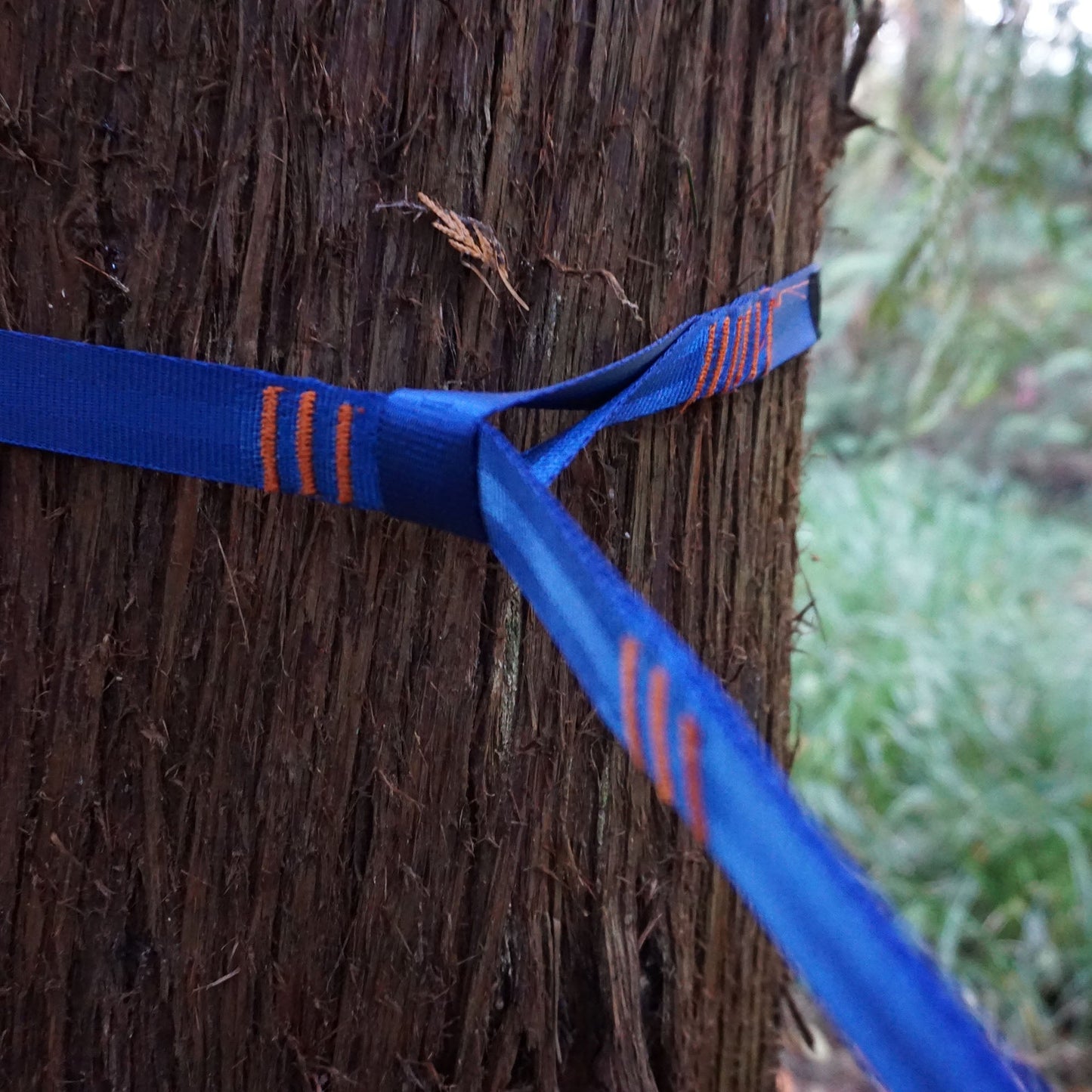Trunk Straps | Hammock Suspension Straps with 36 Adjustment Points
