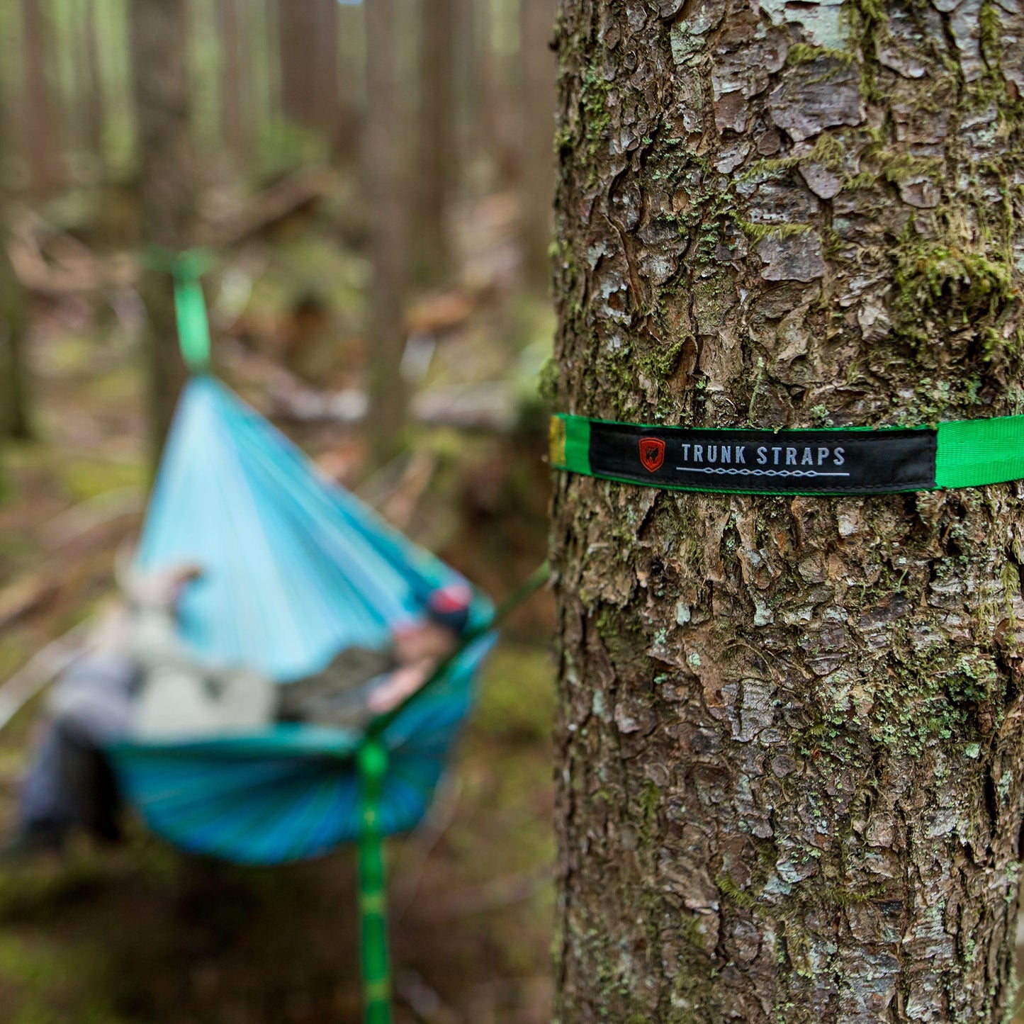 Trunk Straps | Hammock Suspension Straps with 36 Adjustment Points