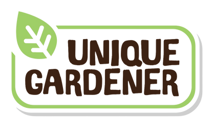 Grow Your Own Peanuts Sprouter Terrarium
