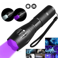 2 in 1 UV Flashlight 395nm Type C Rechargeable Blacklight Pet Stain Detection