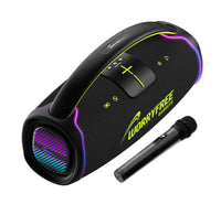 300W Portable Bluetooth Speaker with Handle, One Microphone