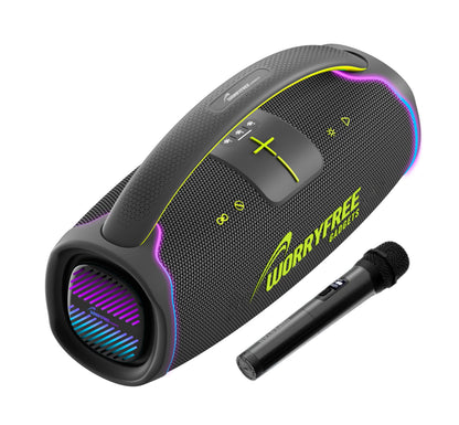 300W Portable Bluetooth Speaker with Handle, One Microphone