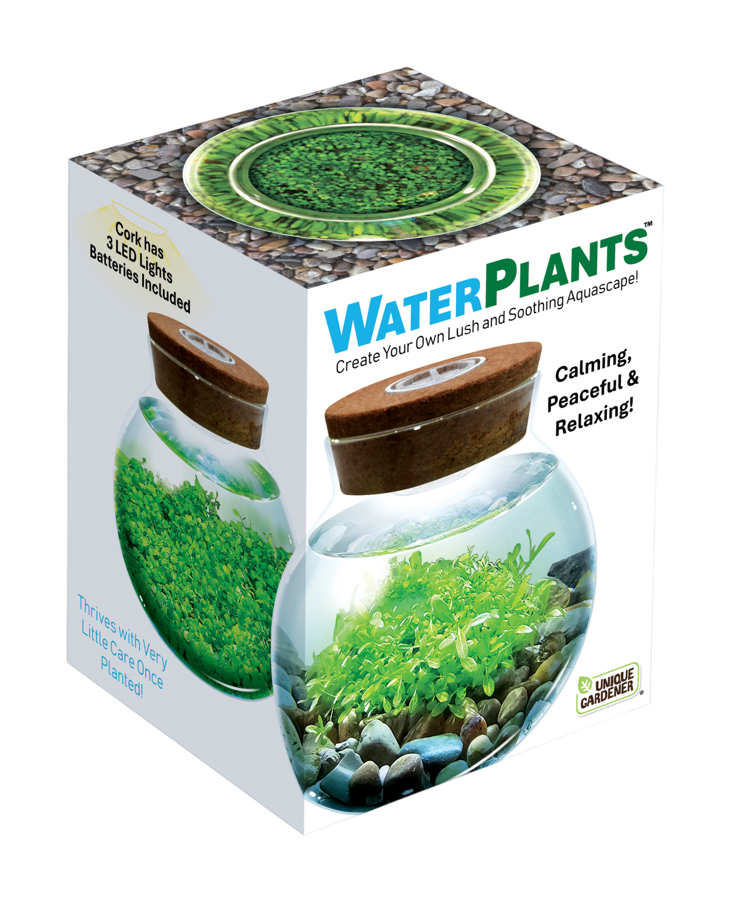 WaterPlants - Cultivez des plantes aquatiques luxuriantes à partir de graines ! Prospère avec un minimum d'entretien