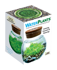 WaterPlants - Cultivez des plantes aquatiques luxuriantes à partir de graines ! Prospère avec un minimum d'entretien