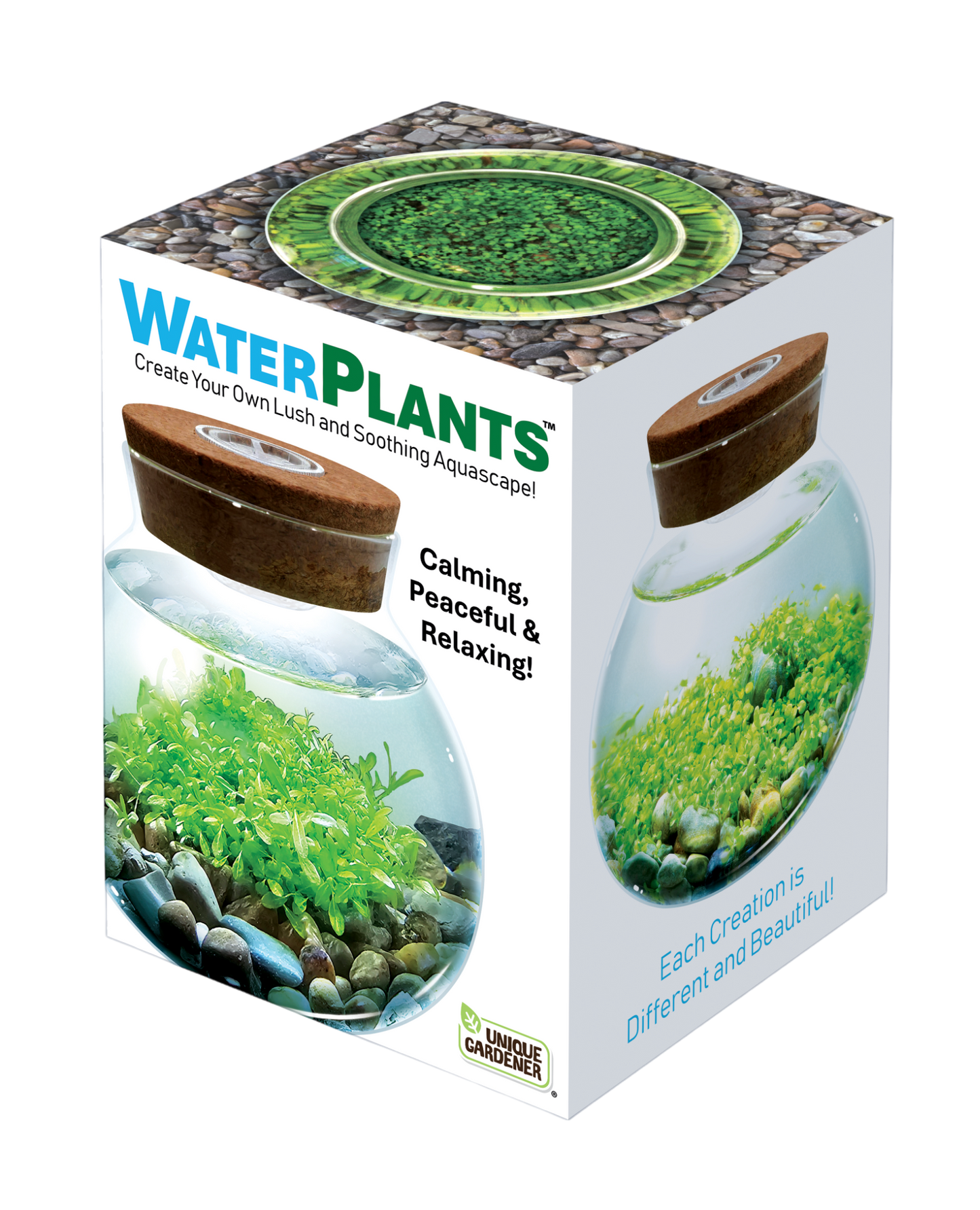 WaterPlants - Cultivez des plantes aquatiques luxuriantes à partir de graines ! Prospère avec un minimum d'entretien