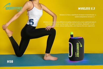 65W Bluetooth Speaker with carrying Bag, Black