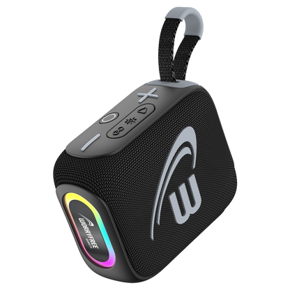 10W Mini Bluetooth Speaker IPX7 Waterproof