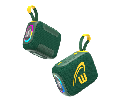 10W Mini Bluetooth Speaker IPX7 Waterproof