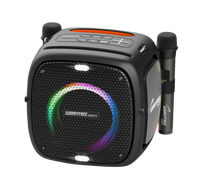 80W Portable Bluetooth Speaker with Two Microphones, Black