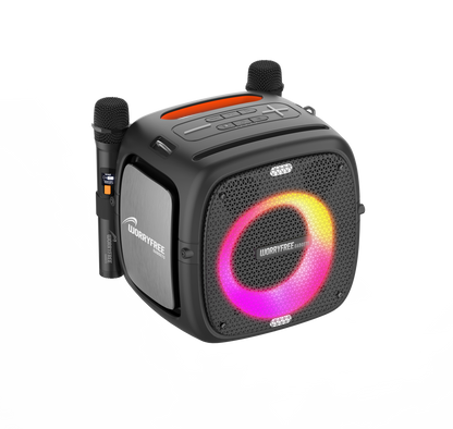 80W Portable Bluetooth Speaker with Two Microphones, Black