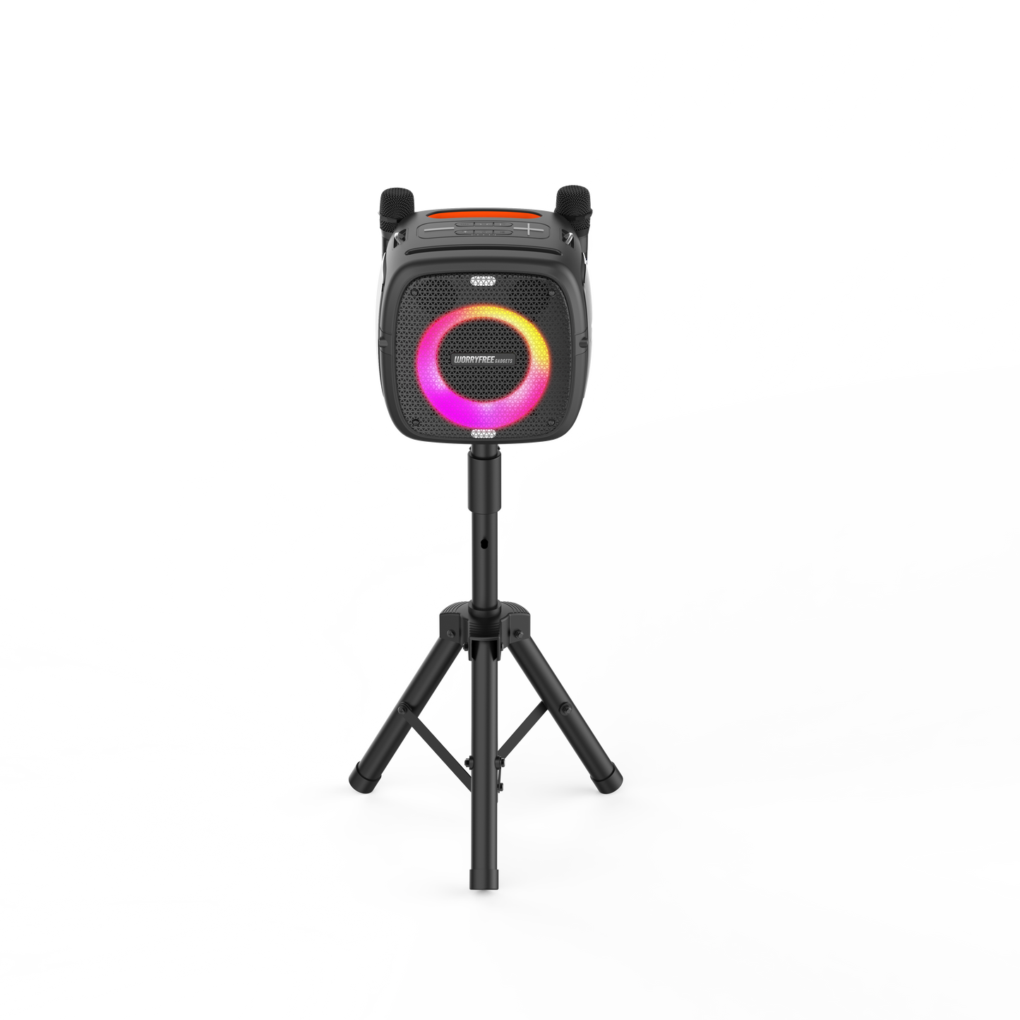 80W Portable Bluetooth Speaker with Two Microphones, Black