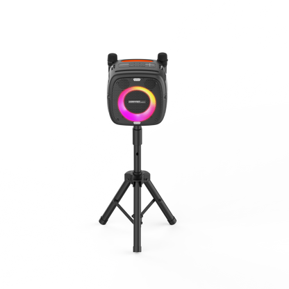 80W Portable Bluetooth Speaker with Two Microphones, Black