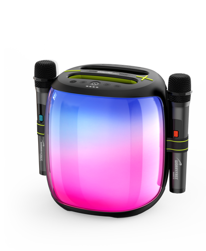 100W Portable Bluetooth Party Speaker with Two Microphones RGB Lights