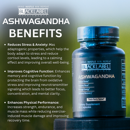 Sensoril Ashwagandha Drops | High-Potency with Black Pepper Extract