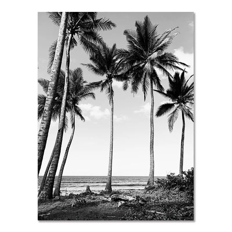 Póster de pared de paisaje costero nórdico moderno en blanco y negro con tema de surf, pintura sin marco