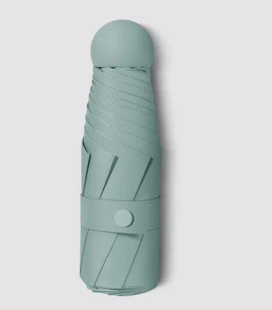 RainSun Auto Compact Umbrella