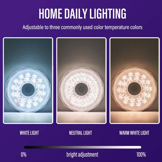 Bluetooth Ceiling Lamp Intelligent Electronics