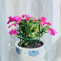 Climbing Vine Support Pile Garden Trellis