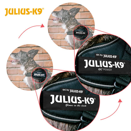 Dog Supplies Can Be Customized Towing Rope For Medium And Large Dogs
